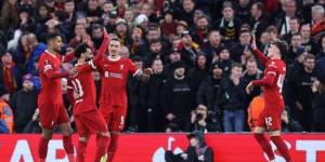 سلوت يكشف سبب تعادل ليفربول وارسنال في الدوري الإنجليزي - زاجل نيوز