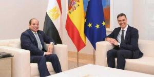 بيان مصري-إسباني مشترك: ضرورة وقف دائم لإطلاق النار في غزة ودعم إعادة الإعمار - زاجل الإخباري