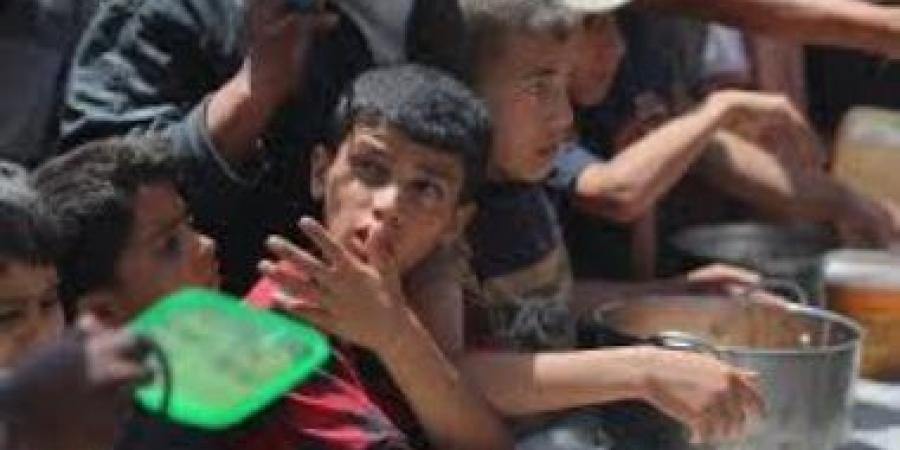 9 شهداء برصاص قوات الاحتلال قرب مراكز توزيع المساعدات فى رفح الفلسطينية - زاجل الإخباري