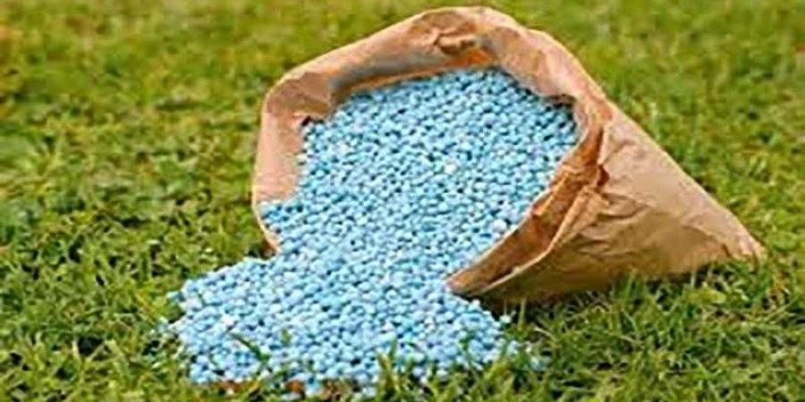 وزارة الزراعة: الأسمدة متوفرة بالجمعيات الزراعية واستمرار الصرف وفقًا لمنظومة كارت الفلاح - زاجل الإخباري