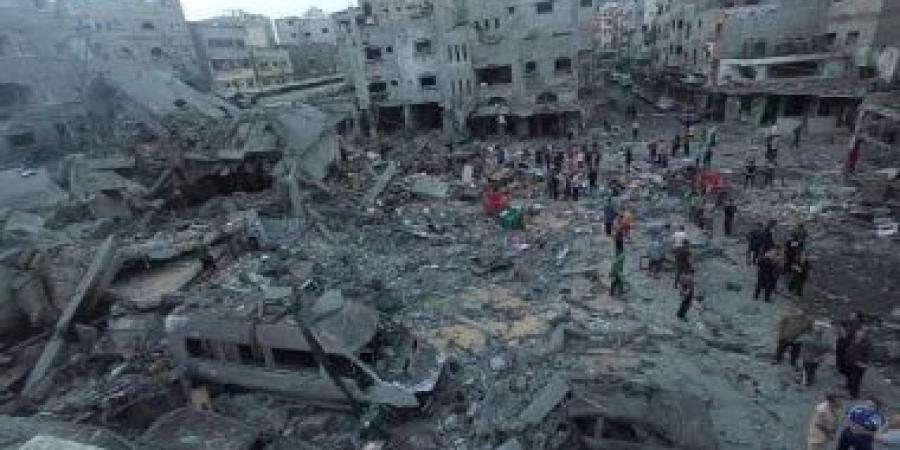 فلسطين تطالب بآليات فاعلة للوقف الفورى لعدوان الاحتلال الإسرائيلى على غزة - زاجل الإخباري