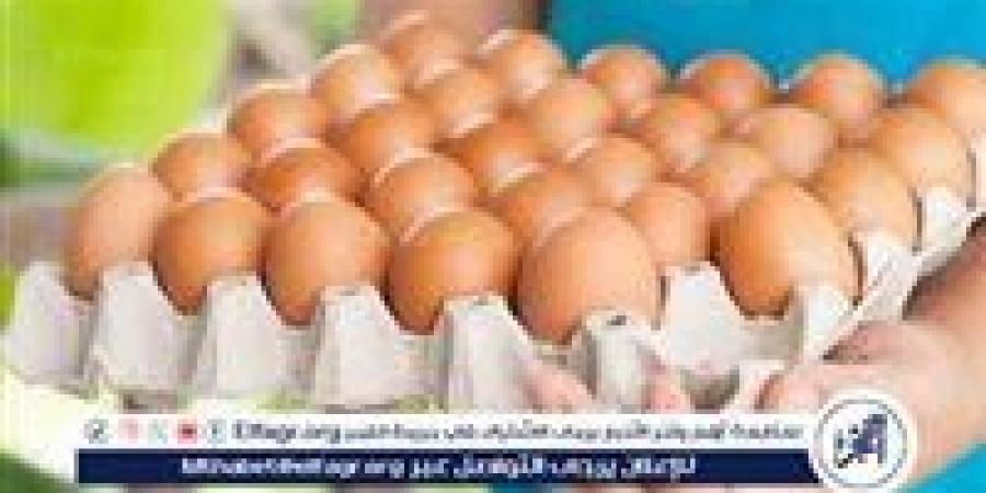 أسعار طبق البيض اليوم الاثنين 18-8-2025 في قنا - زاجل الإخباري