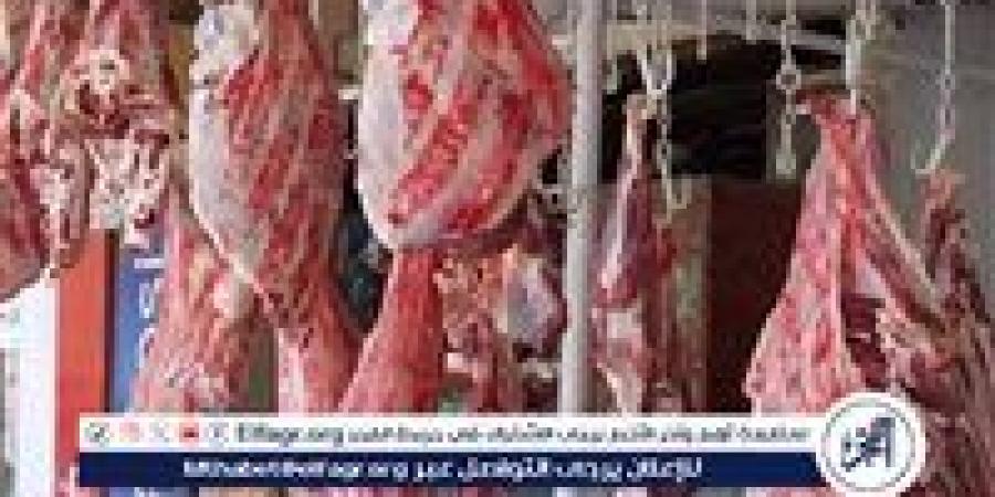 أسعار اللحوم الجملي والضاني اليوم الثلاثاء 19-8-2025 في الأسواق ومحال الجزارة بقنا - زاجل الإخباري