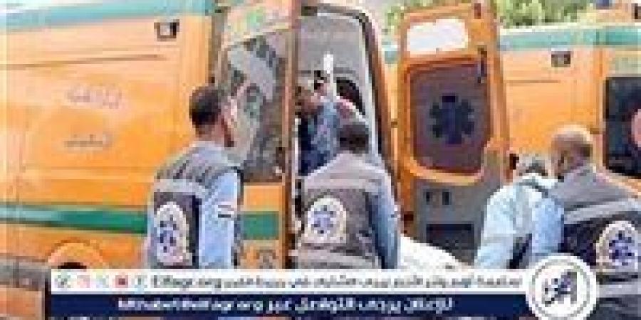 مصرع وإصابة 7 أشخاص في حادث مروري في المنيا (تفاصيل) - زاجل الإخباري