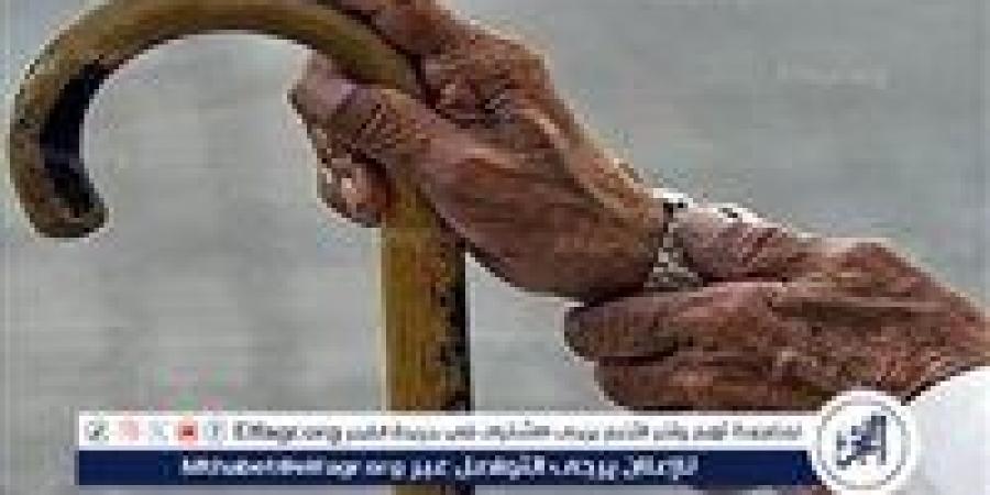 عاطل تخصص في سرقة كبار السن بالزيتون.. وقرار النيابة ضده - زاجل الإخباري