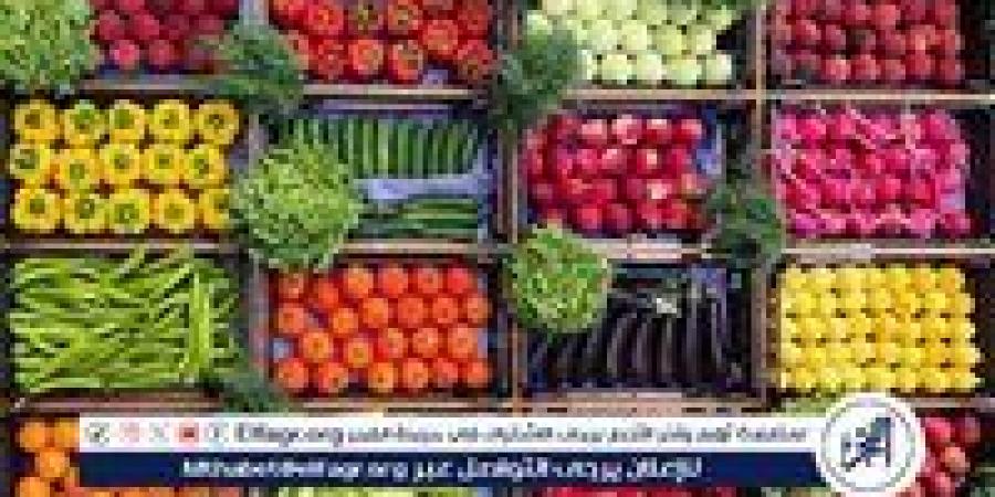 أسعار الخضروات اليوم الخميس 21-8-2025 في قنا - زاجل الإخباري
