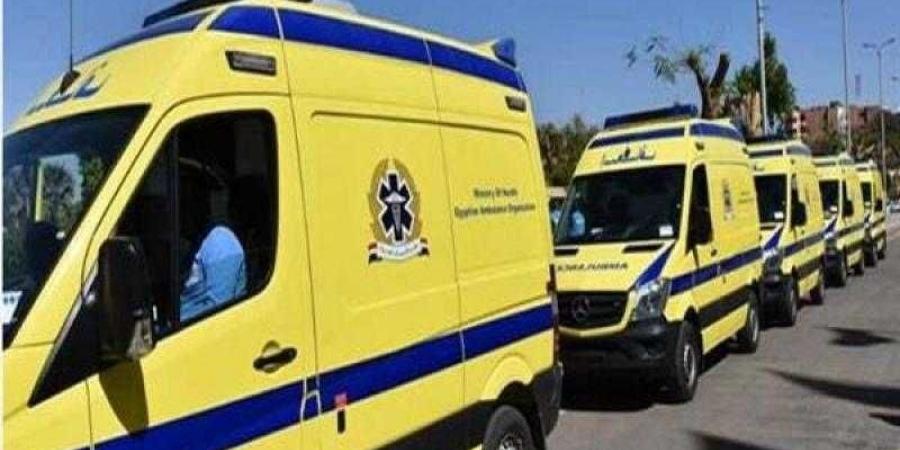 الصحة: الدفع ب10 سيارات إسعاف مجهزة إلى موقع حادث تصادم طريق «الإسكندرية - مطروح» - زاجل الإخباري