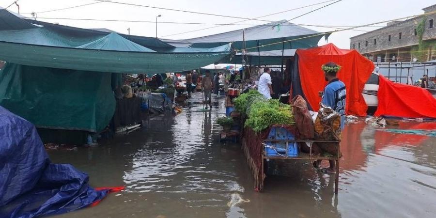 أمطار الفجر ترفع جاهزية جازان - زاجل الإخباري