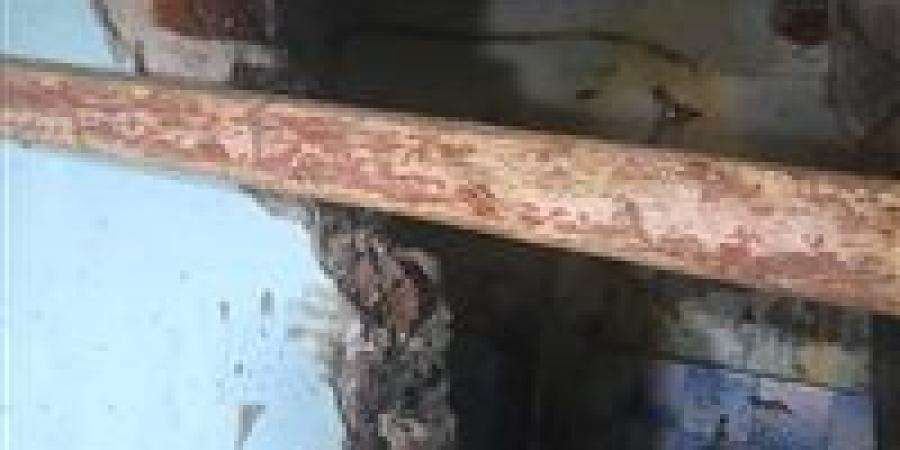 ضبط شقيقان يحفران داخل منزلهما للتنقيب عن الآثار بالدقهلية والنيابة تأمر بحبسهما - زاجل الإخباري