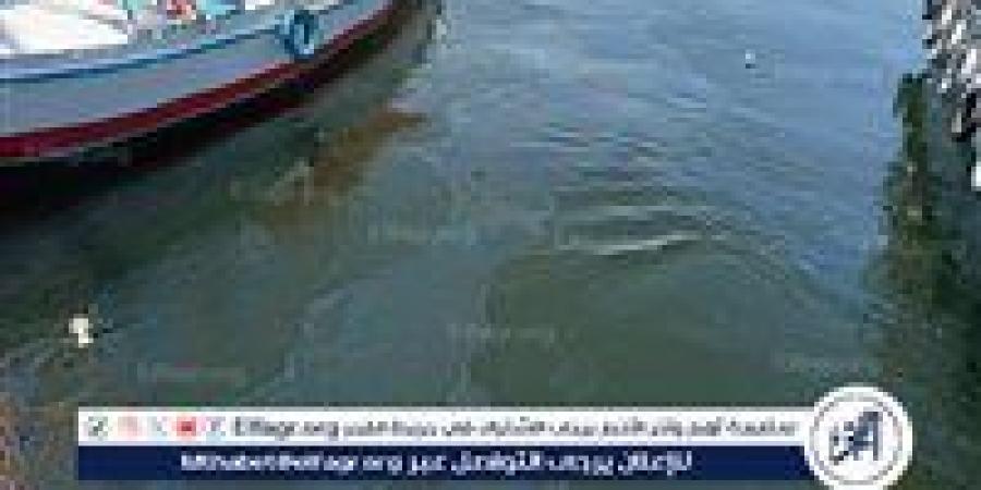 «مياه الأقصر» تسيطر على بقعة زيت فى مياه النيل دون تأثر المواطنين أو إنقطاع الخدمة - زاجل الإخباري