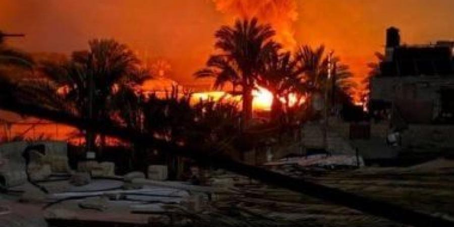 الخارجية الفلسطينية تطالب بإجراءات دولية لوقف الإبادة والتهجير في غزة - زاجل الإخباري