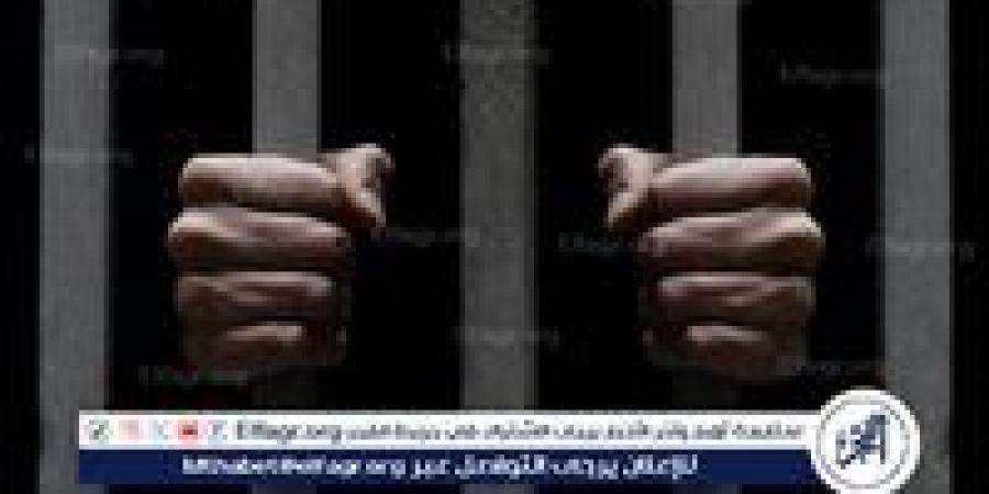 قرار بشأن شاب طعن شقيقه حتى الموت في الحوامدية - زاجل الإخباري