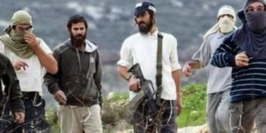 مستعمرون ينصبون عشرات "الكرفانات" شرق مدينة الخليل الفلسطينية - زاجل الإخباري