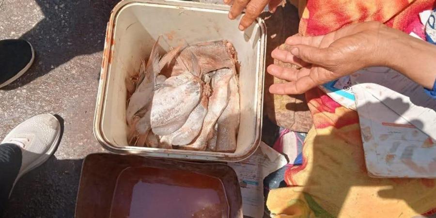 محافظ المنيا: حملات رقابية مكبرة لضبط الأسواق والمخابز تحرير 113 محضرًا متنوعًا، وإعدام أغذية فاسدة - زاجل الإخباري