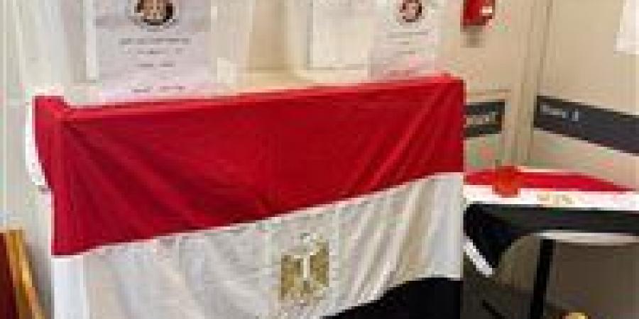 المصريون بالخارج يدلون بأصواتهم في إعادة انتخابات مجلس الشيوخ 2025 - زاجل الإخباري