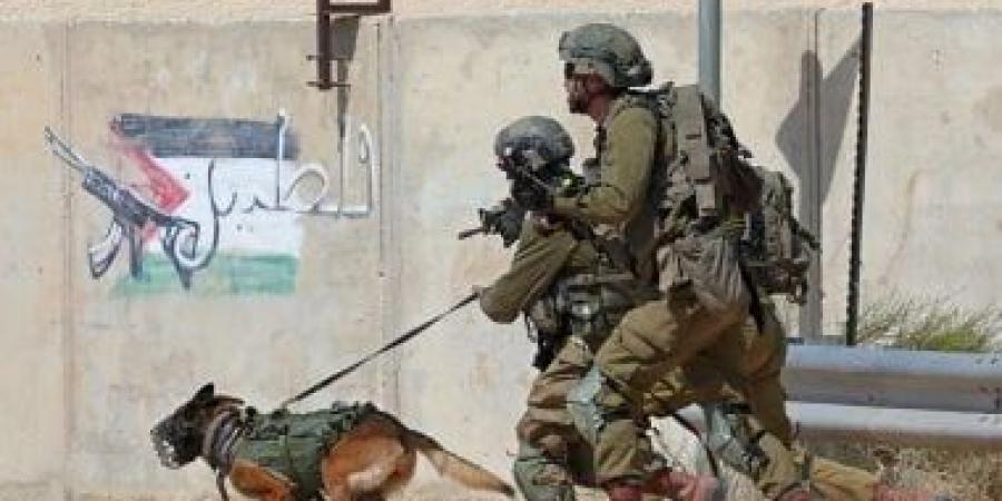 إصابة 58 فلسطينيا خلال اقتحام الاحتلال الإسرائيلي مدينتي رام الله والبيرة - زاجل الإخباري