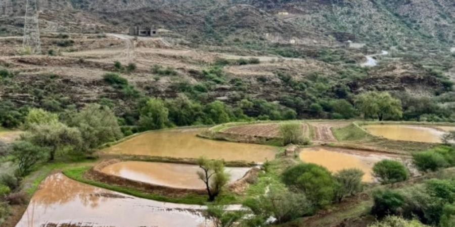 أمطار الباحة تجرف سيارات والسيول تقطع طرقا بنجران - زاجل الإخباري