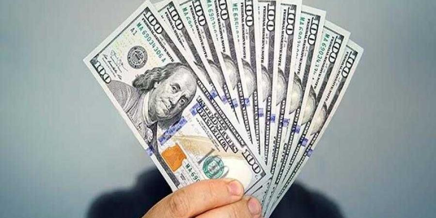 أسعار الدولار في مصر اليوم السبت - زاجل الإخباري