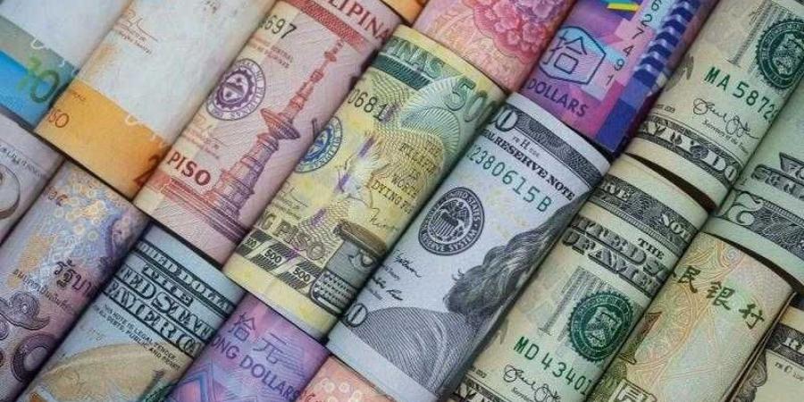 أسعار العملات في مصر اليوم الأحد - زاجل الإخباري