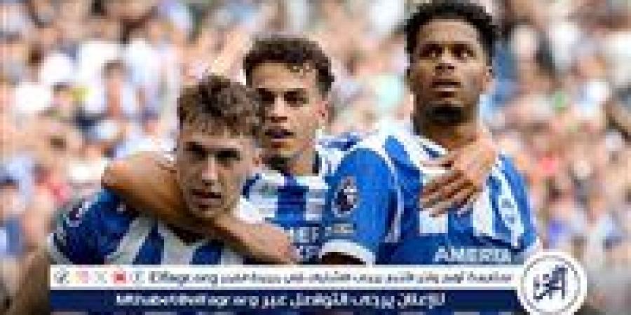 بمشاركة مرموش.. مانشستر سيتي يسقط أمام برايتون بثنائية في الدوري الإنجليزي الممتاز - زاجل الإخباري