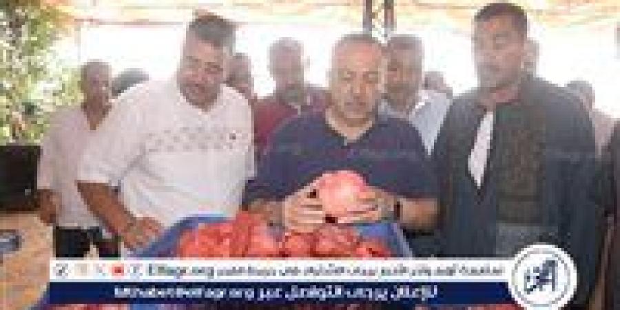 محافظ أسيوط يتفقد مواقع تجهيز وتصدير الرمان بقرية بويط بمركز ساحل سليم - زاجل الإخباري