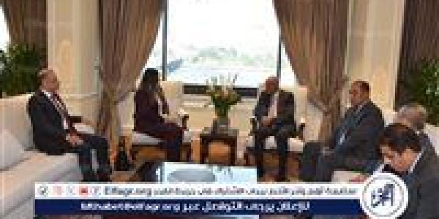 وزيرة الخارجية الفلسطينية تبحث مع أبو الغيط أزمة غزة وحل الدولتين - زاجل الإخباري