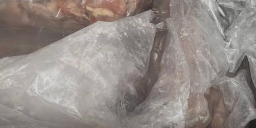 دواجن بملصقات مزيفة - زاجل الإخباري
