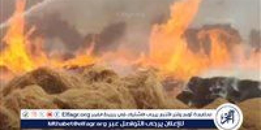 خسائر بالملايين.. حريق هائل في مصنع كتان بالغربية - زاجل الإخباري