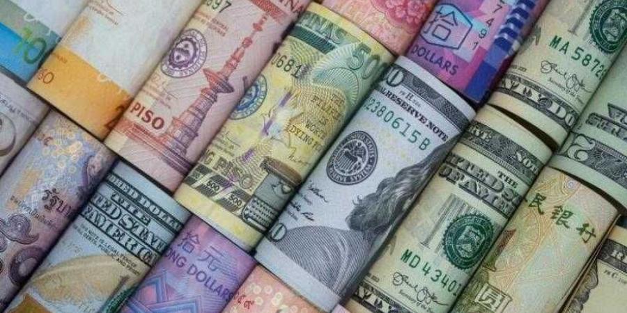 أسعار العملات في مصر اليوم الجمعة - زاجل الإخباري