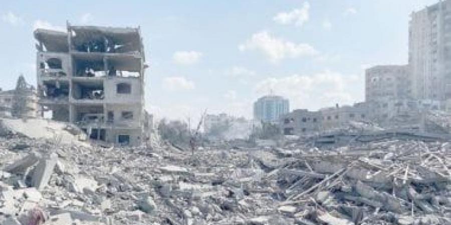 المرصد الأورومتوسطى: يمكن محاكمة الاحتلال لتعمده تشويه جثامين الفلسطينيين - زاجل الإخباري