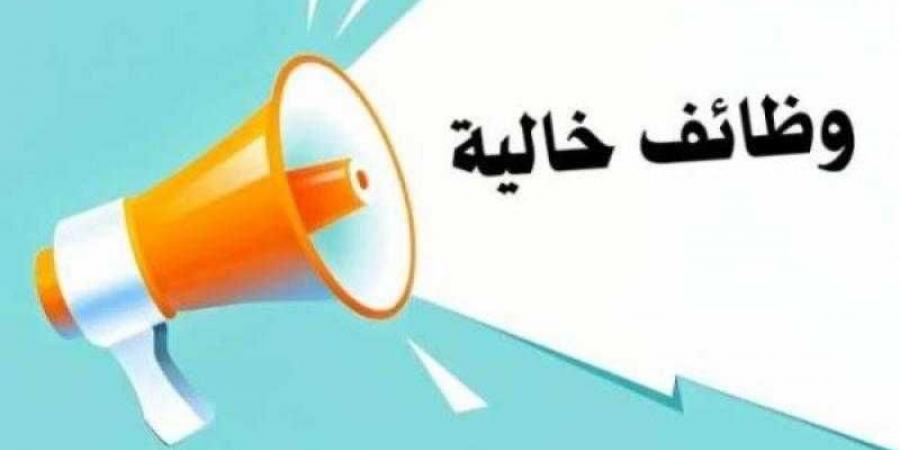 وظائف جديدة للشباب.. وزارة العمل تكشف تفاصيل النشرة القومية للتوظيف - زاجل الإخباري