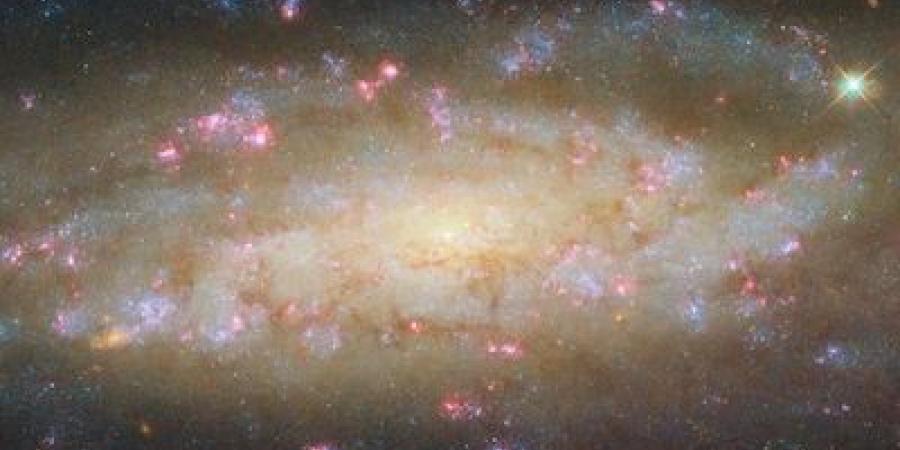 ناسا تلتقط صورة مذهلة للمجرة NGC 7456 على بُعد 51 مليون سنة ضوئية - زاجل الإخباري