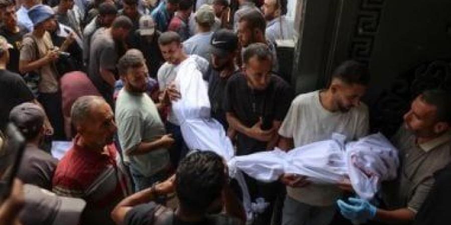 منظمة أنقذوا الأطفال: الاحتلال الإسرائيلى يقتل طفلا كل ساعة فى غزة - زاجل الإخباري