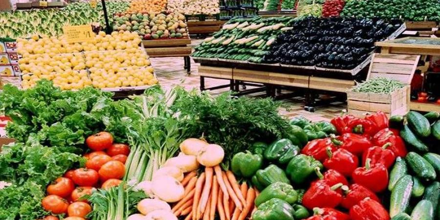 أسعار الخضروات في مصر اليوم الثلاثاء - زاجل الإخباري