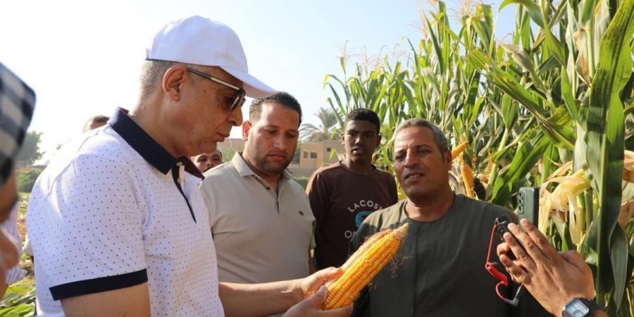 تزامنًا مع الاحتفال بـ “عيد الفلاح” محافظ المنيا يشارك مزارعي قرية الشعراوية بسمالوط حصاد المحاصيل الصيفية - زاجل الإخباري