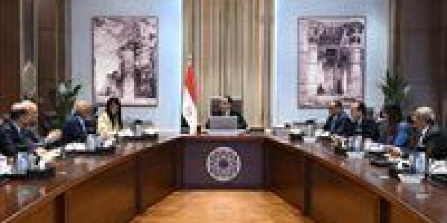 "مدبولي" يلتقي المدير التنفيذي لمصر بمجموعة البنك الدولي - زاجل الإخباري