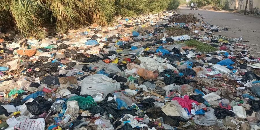 محافظ الإسكندرية يستجيب لـ "الفجر".. ويوجه بإزالة المخلفات من منطقة حوض 13 - زاجل الإخباري