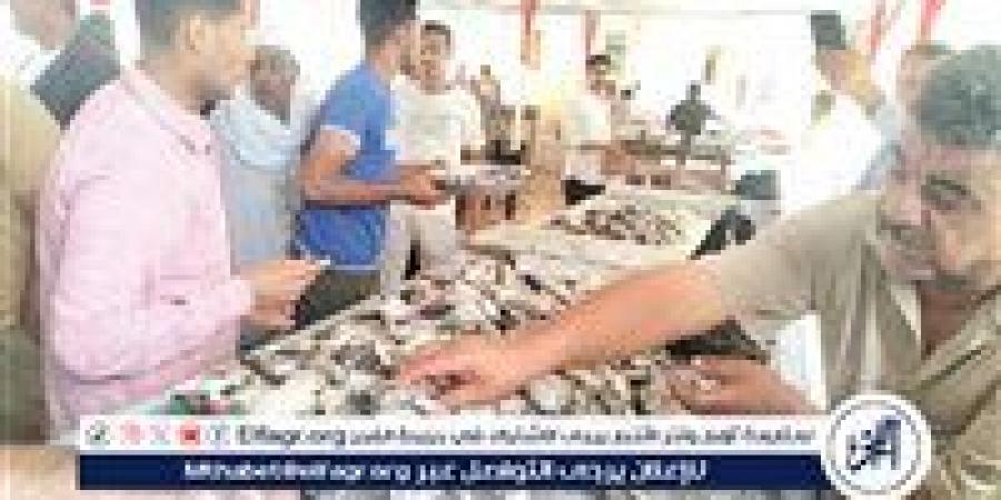 أسعار السمك اليوم الجمعة 12-9-2025 في محافظة قنا - زاجل الإخباري