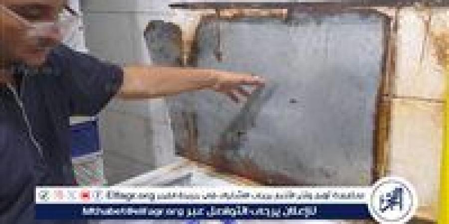 ضبط أغذية فاسدة وتحرير 379 محضرًا صحيًا في حملات على المنشآت الغذائية ببني سويف - زاجل الإخباري