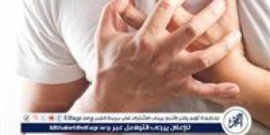 التغذية وصحة القلب.. قواعد بسيطة لوقاية فعّالة - زاجل الإخباري