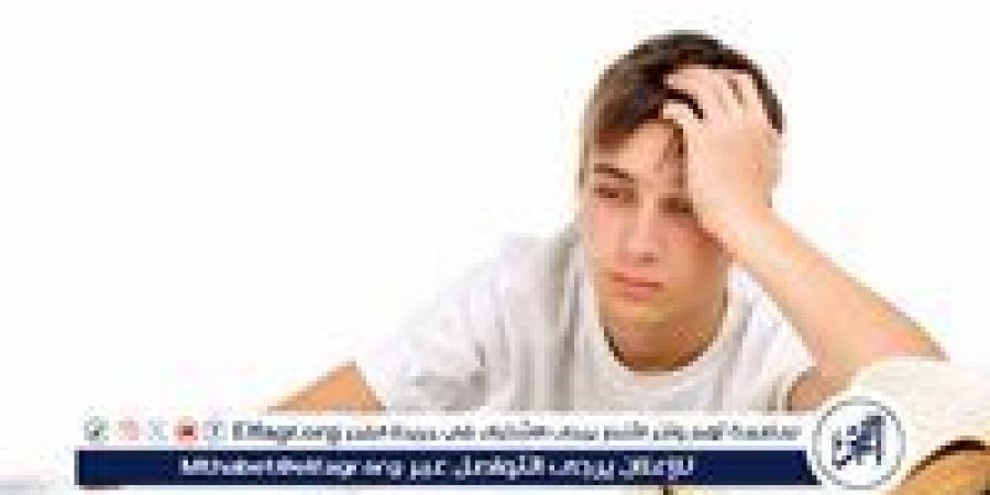 لانش بوكس متكامل: أفضل وجبات تمنح طفلك الطاقة والتركيز - زاجل الإخباري
