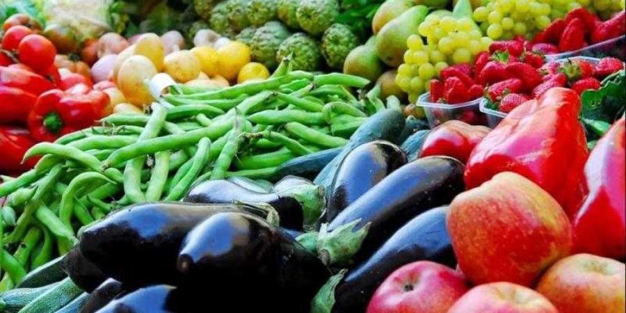 أسعار الخضروات في مصر اليوم الثلاثاء - زاجل الإخباري